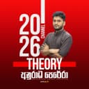 2026 Theory Telegram DP